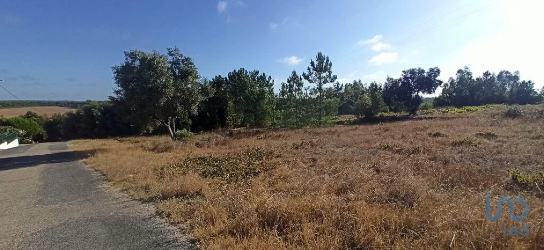 Terreno para Venda em Coruche, Fajarda e Erra Foto 5