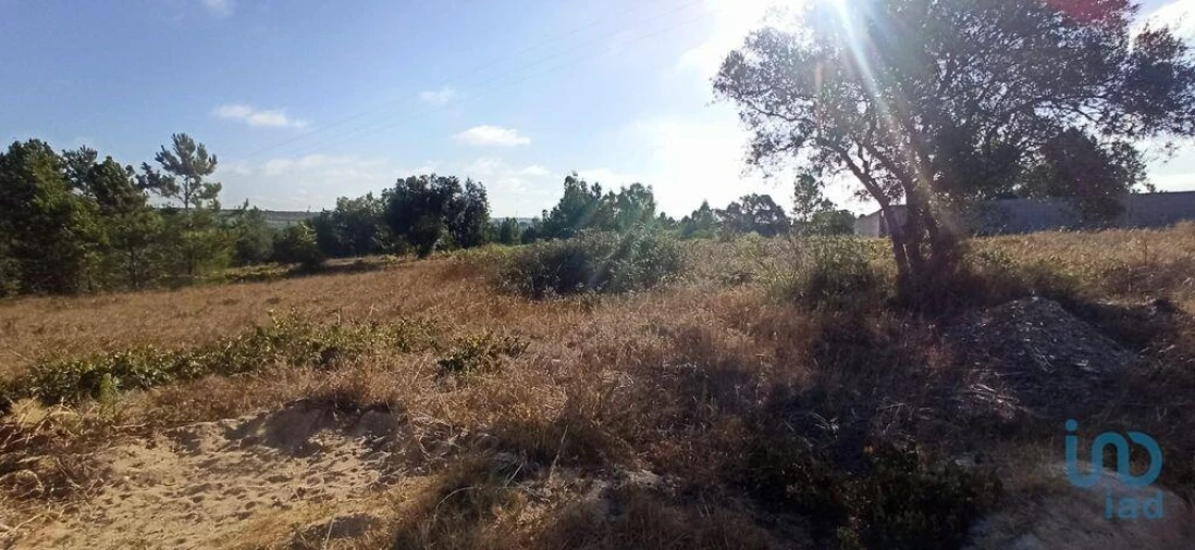 Terreno para Venda em Coruche, Fajarda e Erra Foto 4