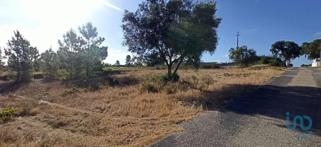 Terreno para Venda em Coruche, Fajarda e Erra Foto 7