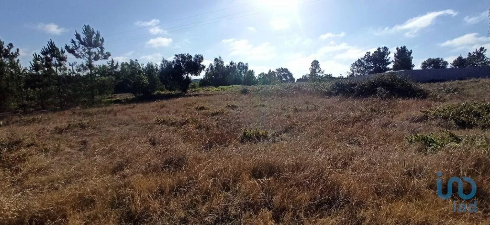 Terreno para Venda em Coruche, Fajarda e Erra Foto 6