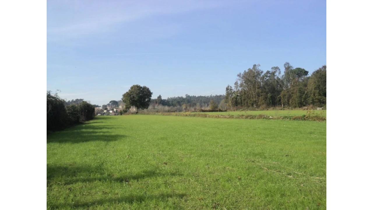 Terreno para Venda em Ferreiros, Prozelo e Besteiros Foto 1