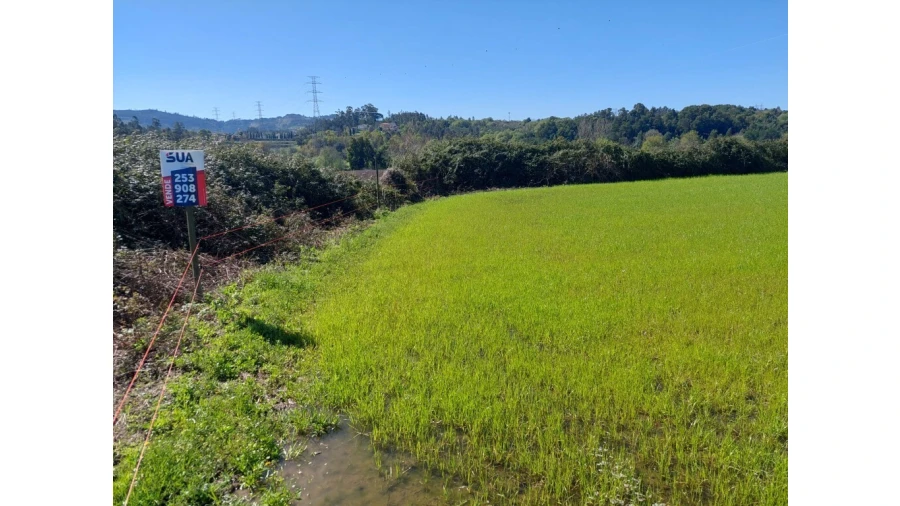 Terreno para Venda em Ferreiros, Prozelo e Besteiros Foto 3