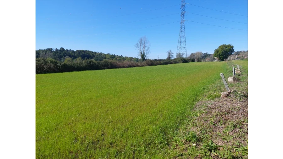 Terreno para Venda em Ferreiros, Prozelo e Besteiros Foto 2