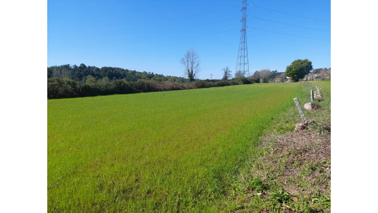 Terreno para Venda em Ferreiros, Prozelo e Besteiros Foto 2