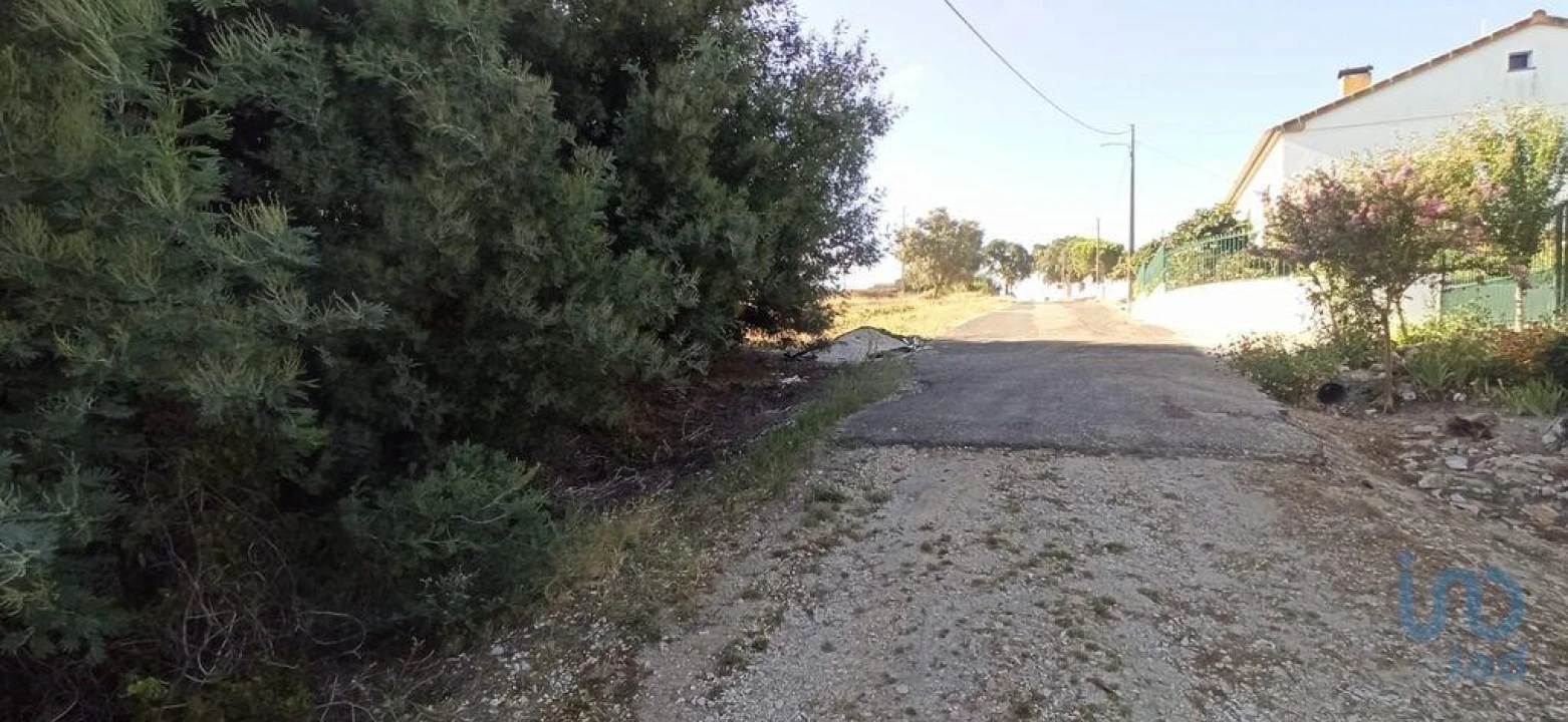 Terreno para Venda em Coruche, Fajarda e Erra Foto 3