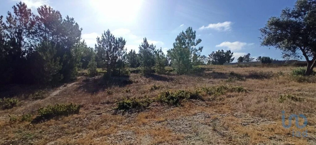 Terreno para Venda em Coruche, Fajarda e Erra Foto 8