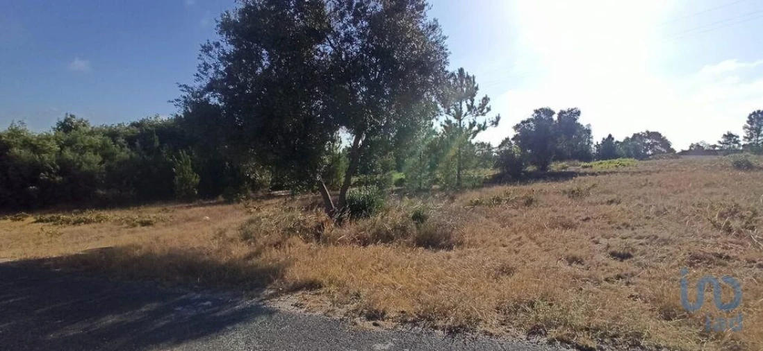 Terreno para Venda em Coruche, Fajarda e Erra Foto 6