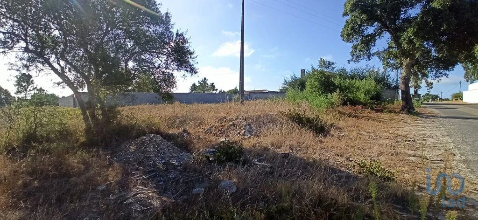 Terreno para Venda em Coruche, Fajarda e Erra Foto 2