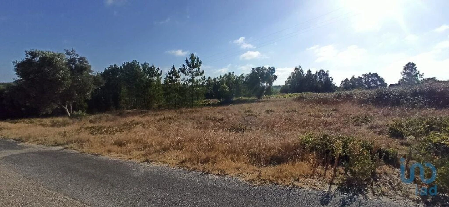 Terreno para Venda em Coruche, Fajarda e Erra Foto 4