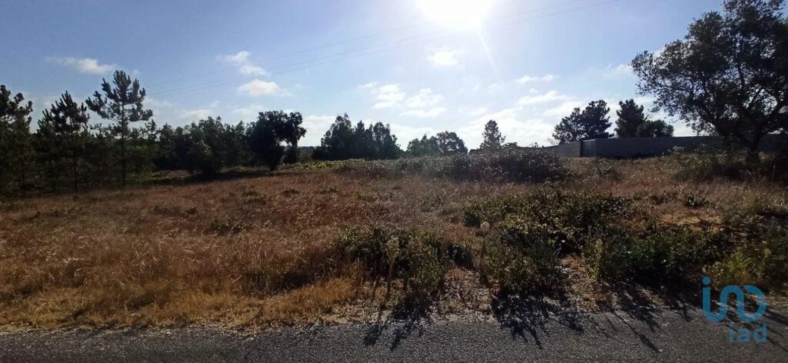 Terreno para Venda em Coruche, Fajarda e Erra Foto 5