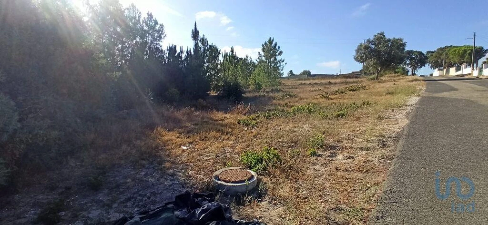 Terreno para Venda em Coruche, Fajarda e Erra Foto 6