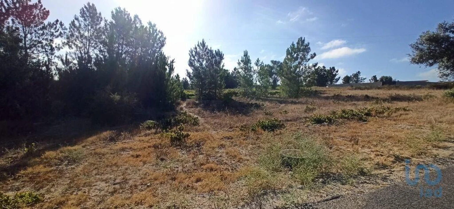 Terreno para Venda em Coruche, Fajarda e Erra Foto 4