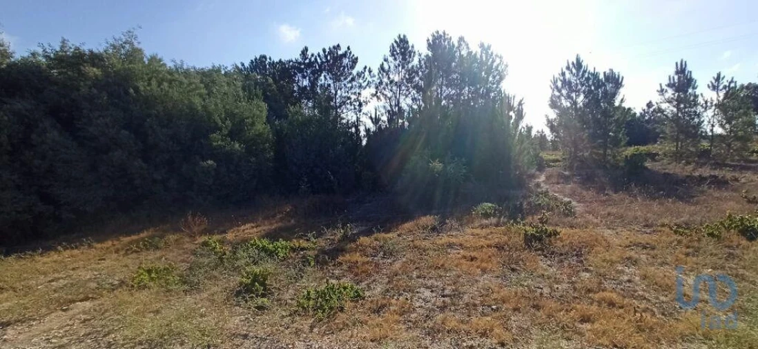 Terreno para Venda em Coruche, Fajarda e Erra Foto 3