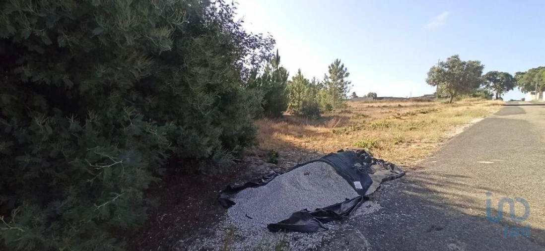Terreno para Venda em Coruche, Fajarda e Erra Foto 5