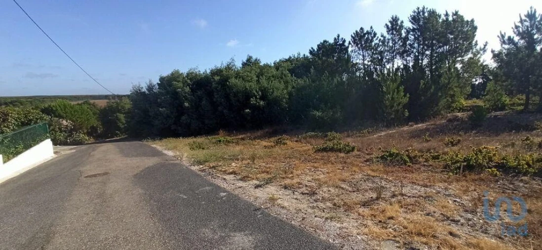 Terreno para Venda em Coruche, Fajarda e Erra Foto 2