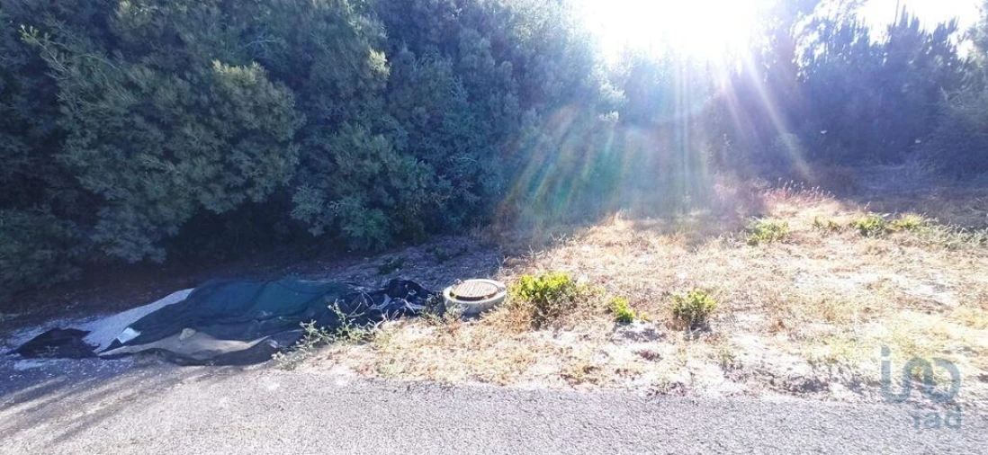 Terreno para Venda em Coruche, Fajarda e Erra Foto 1