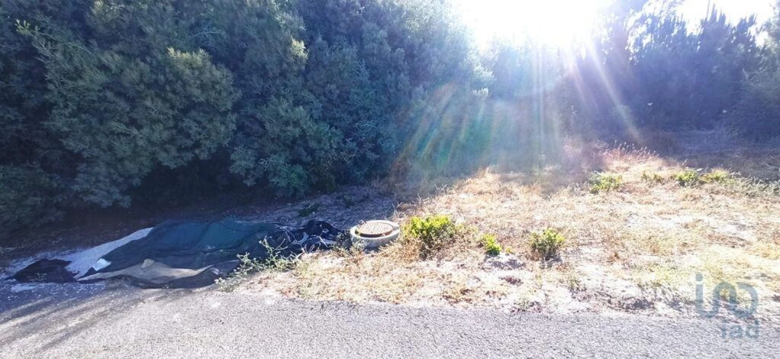 Terreno para Venda em Coruche, Fajarda e Erra Foto 1