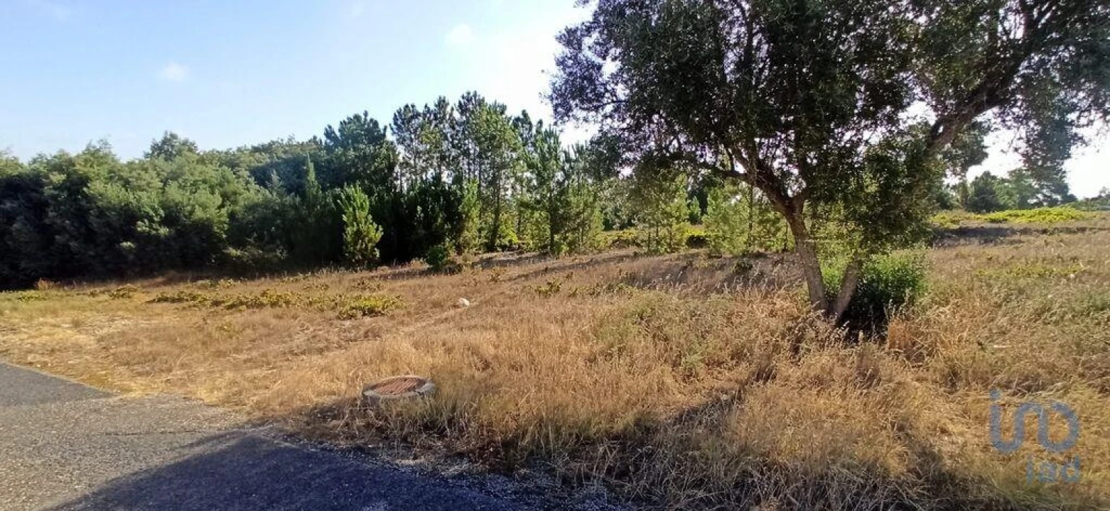 Terreno para Venda em Coruche, Fajarda e Erra Foto 4