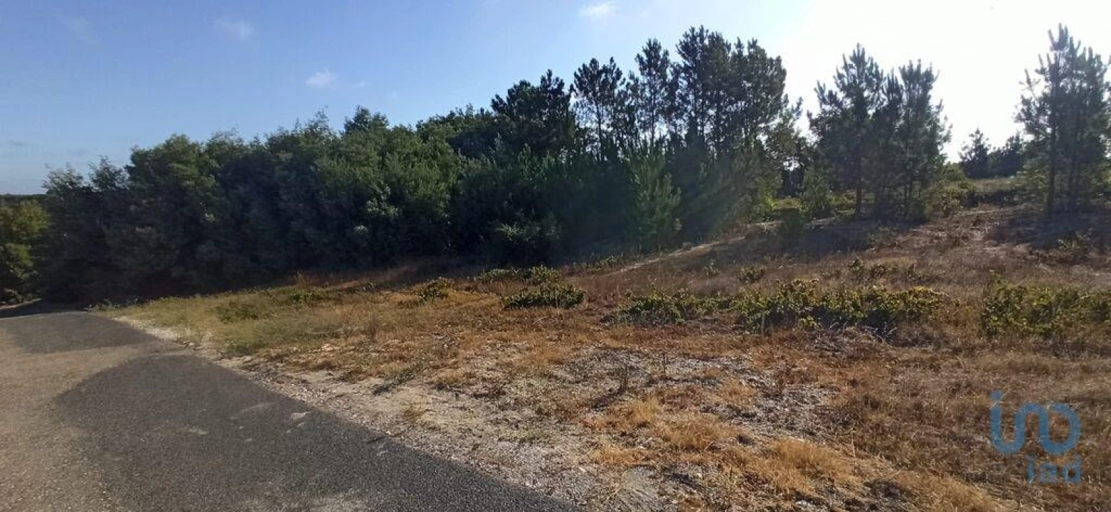 Terreno para Venda em Coruche, Fajarda e Erra Foto 6