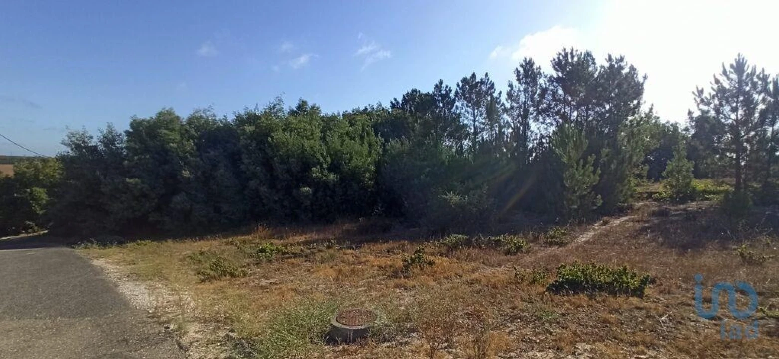 Terreno para Venda em Coruche, Fajarda e Erra Foto 9