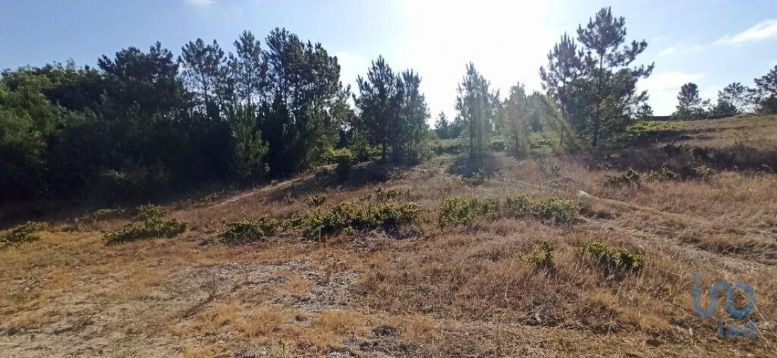 Terreno para Venda em Coruche, Fajarda e Erra Foto 5