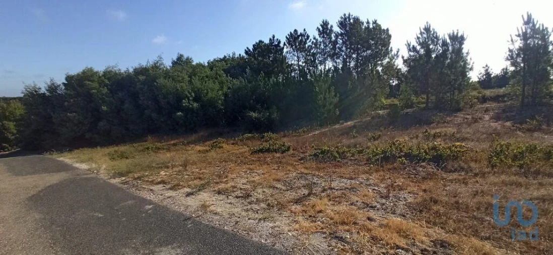 Terreno para Venda em Coruche, Fajarda e Erra Foto 6