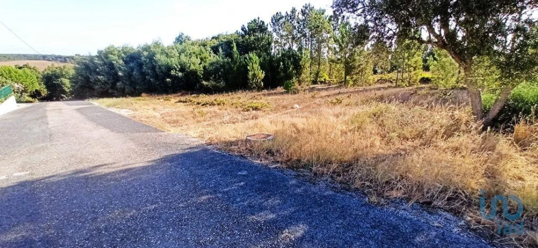Terreno para Venda em Coruche, Fajarda e Erra Foto 2