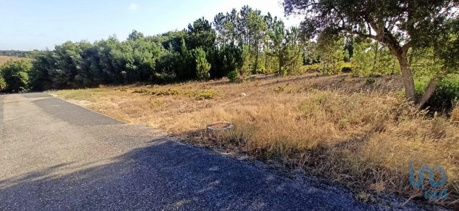Terreno para Venda em Coruche, Fajarda e Erra Foto 3