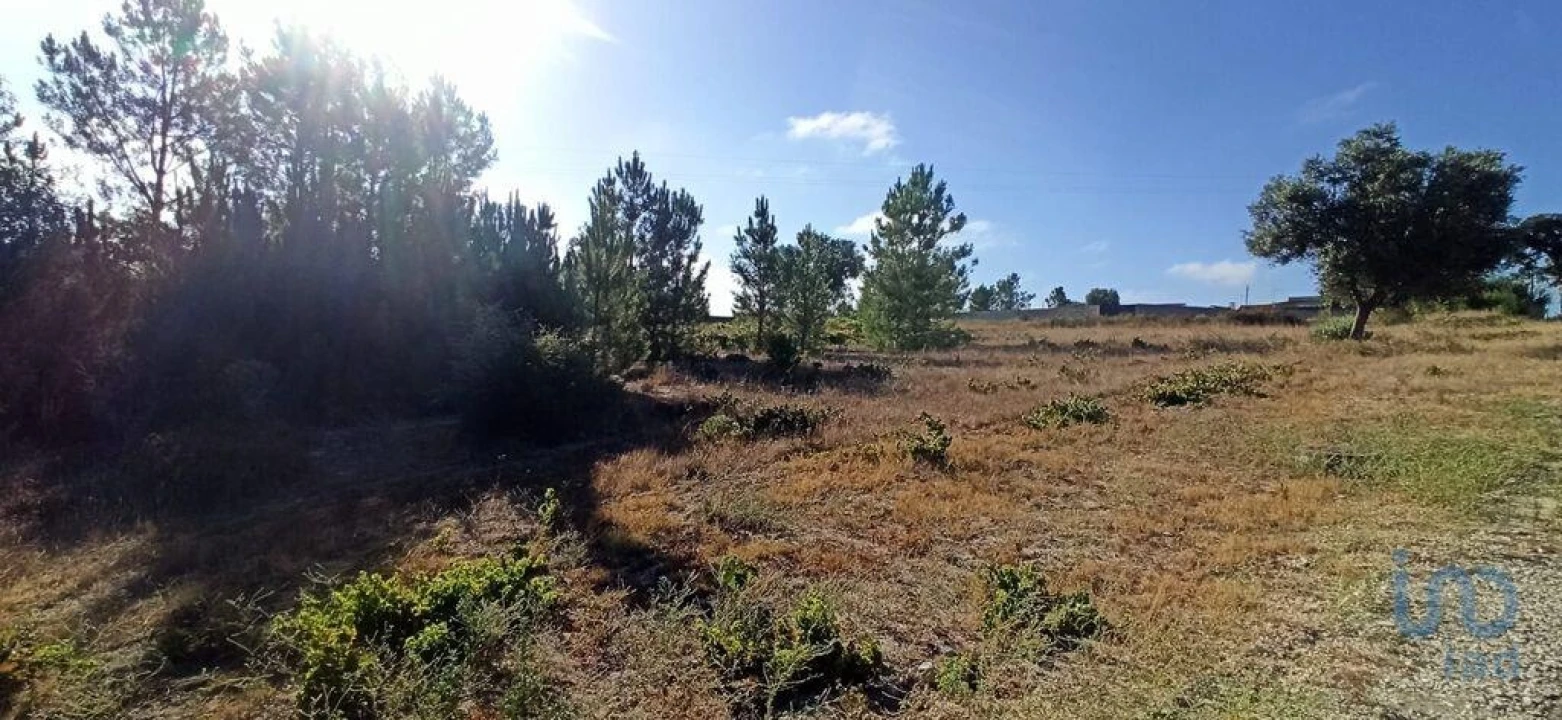 Terreno para Venda em Coruche, Fajarda e Erra Foto 8