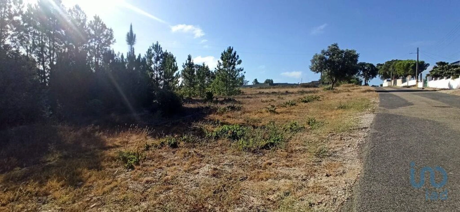 Terreno para Venda em Coruche, Fajarda e Erra Foto 7