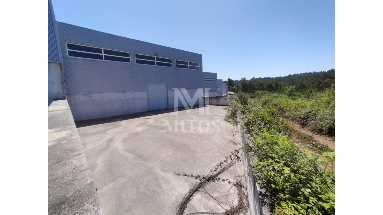 Armazém para Venda em Alvarães Foto 1