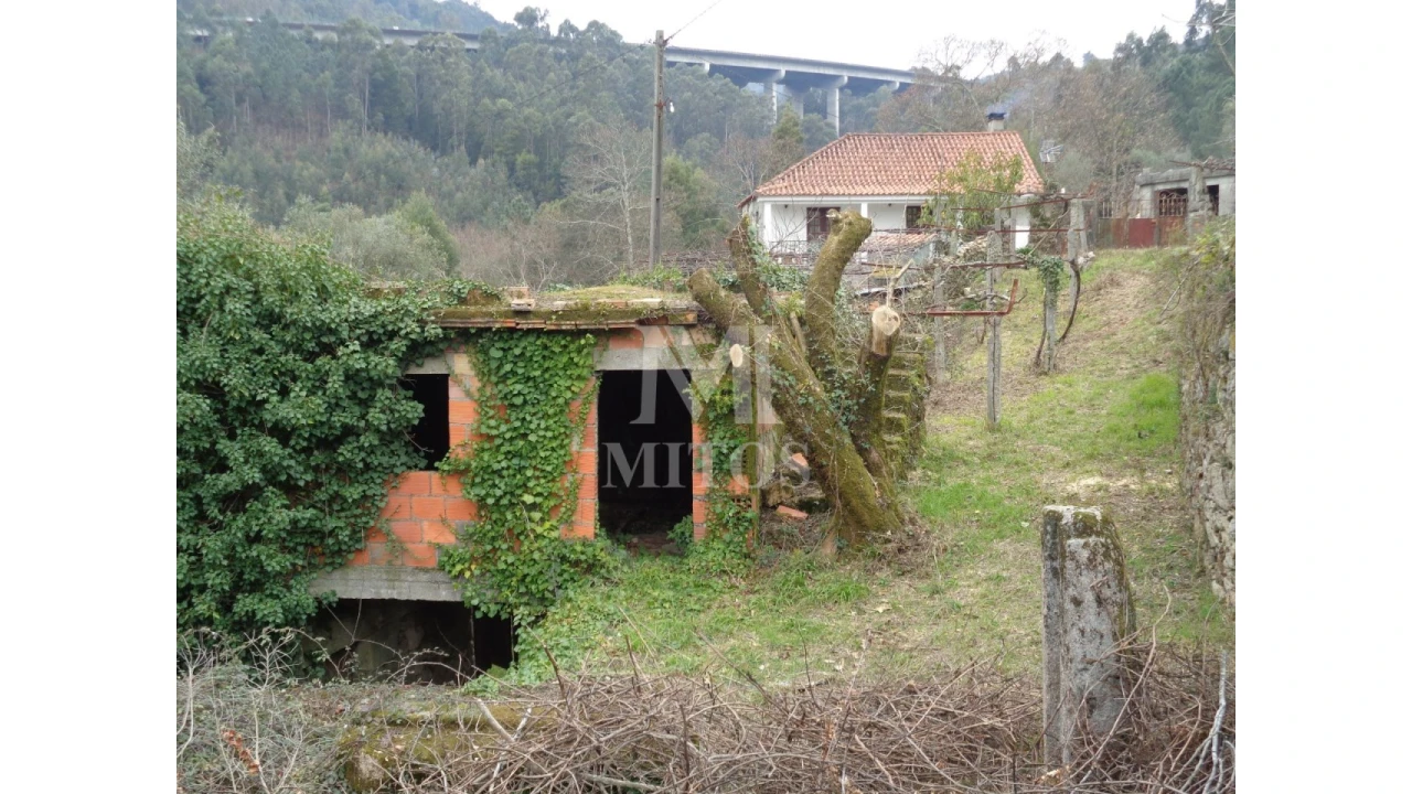 Terreno para Venda em Labruja Foto 4