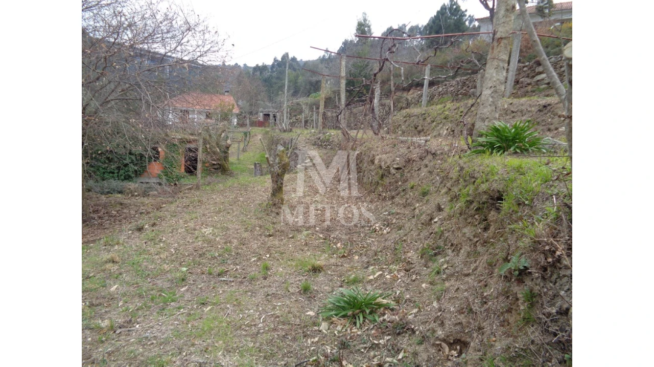 Terreno para Venda em Labruja Foto 2