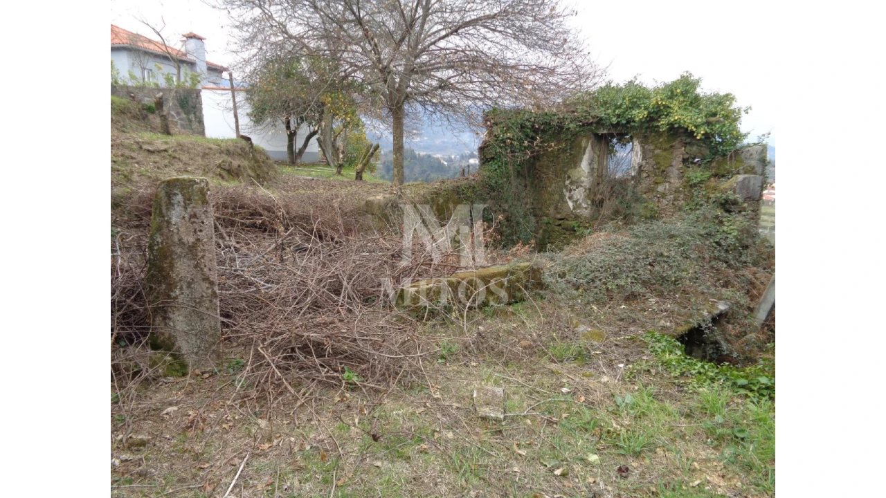 Terreno para Venda em Labruja Foto 9