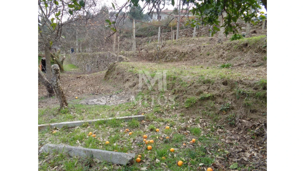 Terreno para Venda em Labruja Foto 10