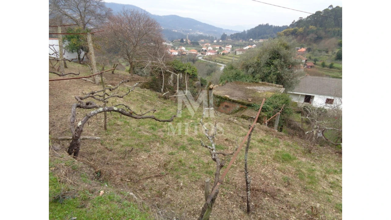 Terreno para Venda em Labruja Foto 11