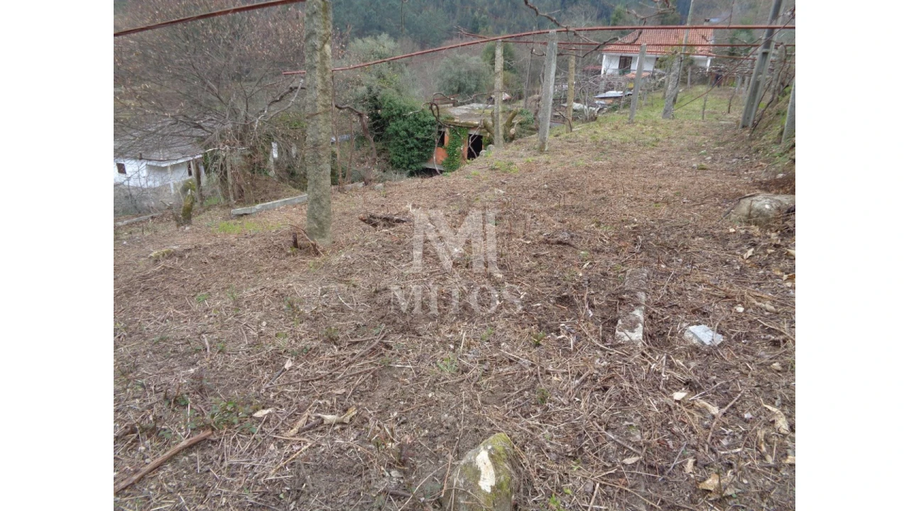 Terreno para Venda em Labruja Foto 12