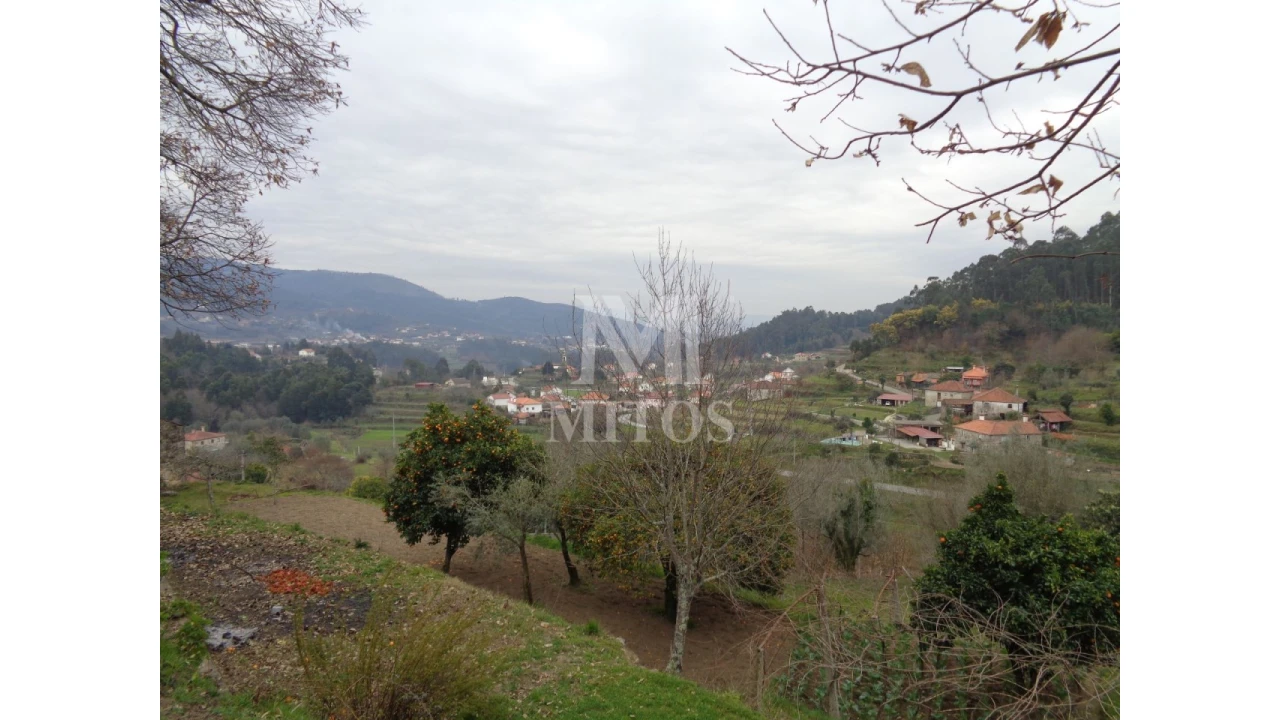 Terreno para Venda em Labruja Foto 15