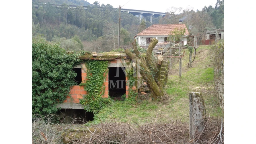Terreno para Venda em Labruja Foto 4