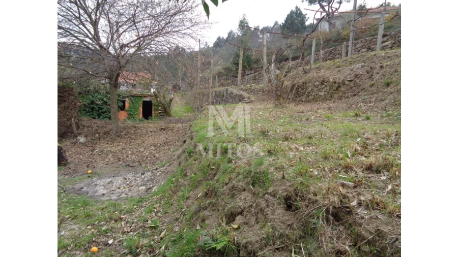 Terreno para Venda em Labruja Foto 5