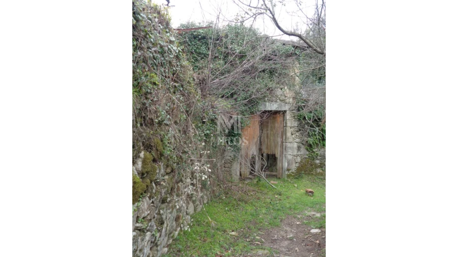 Terreno para Venda em Labruja Foto 6