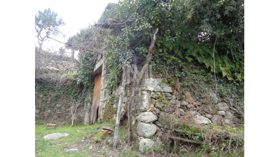 Terreno para Venda em Labruja Foto 7