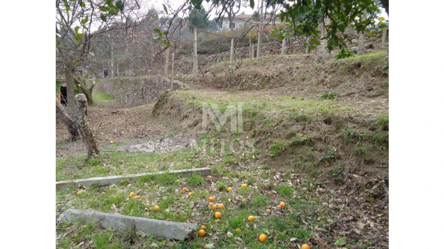 Terreno para Venda em Labruja Foto 10