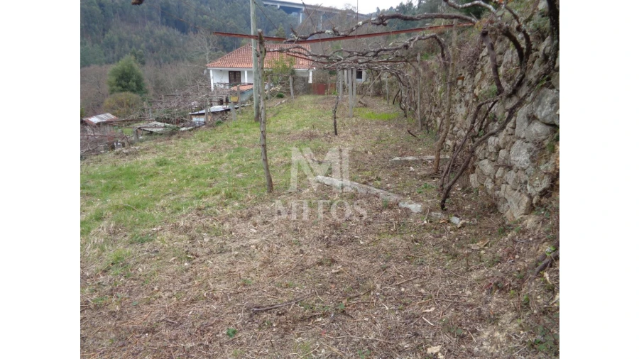 Terreno para Venda em Labruja