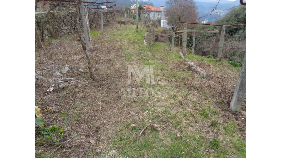 Terreno para Venda em Labruja Foto 13