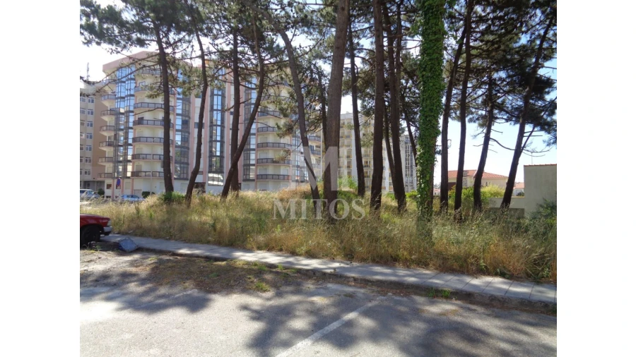 Terreno para Venda em Chafe Foto 2