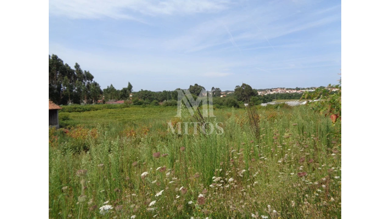 Terreno para Venda em Mujães Foto 3