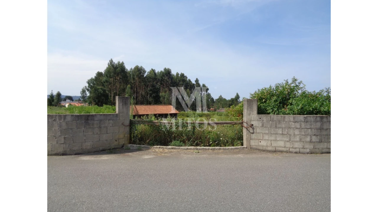 Terreno para Venda em Mujães Foto 7