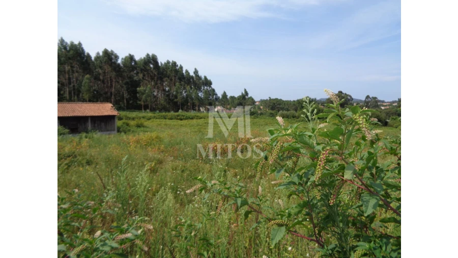 Terreno para Venda em Mujães Foto 4