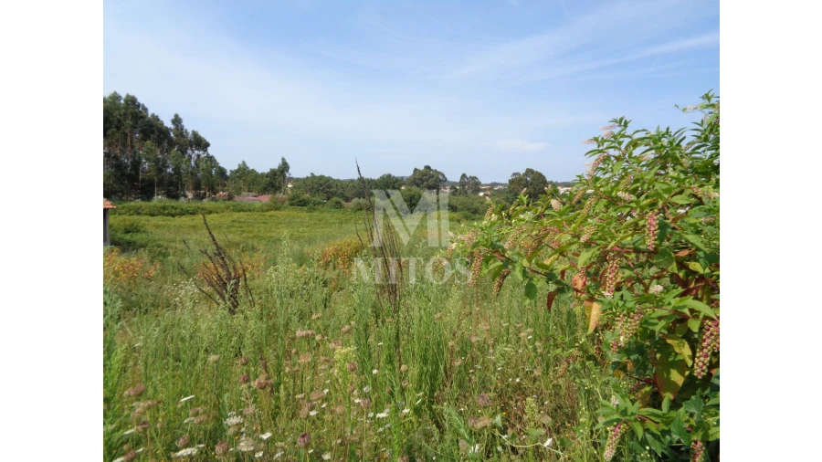 Terreno para Venda em Mujães Foto 5